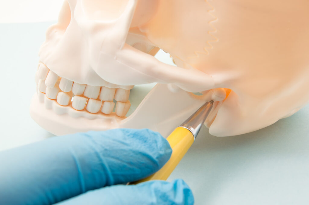 Joint Replacement Options for TMJ